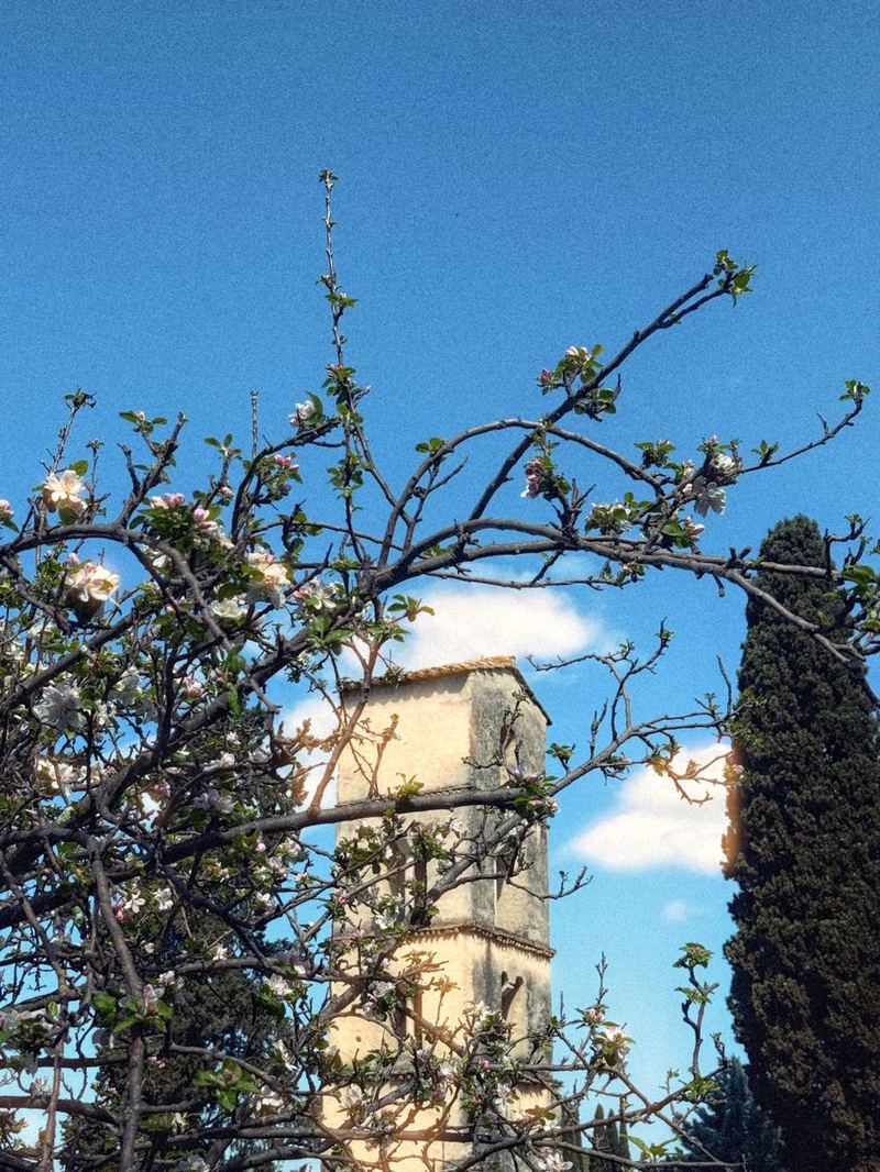 Il campanile del parco tra i meli in fiore